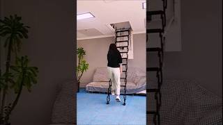 Telescopic Roof Ladder  Attic Ladders shorts attic ladder homeimprovement smartliving [upl. by Pepi]