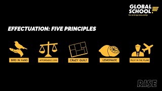 GS4E Knowledge clip Effectuation principles [upl. by Seth]