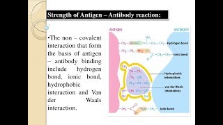 Microbiology of Antibody amp Antigen Interactions [upl. by Serena746]