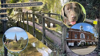 Whitchurch Hampshire UK An Autumn dog walk along the River Test finishing in a Victorian Chapel [upl. by Desma]