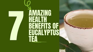 7 Amazing Health Benefits of Eucalyptus Tea You Didnt Know About [upl. by Spiegleman]