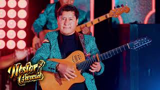 NESTOR GARCIA  Motivos  Concierto 2023  Requinto Peruano [upl. by Irish]