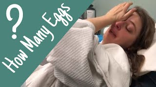 Shocking IVF Egg Retrieval Results [upl. by Leakim]