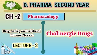 Cholinergic Drugs  CH2  L2  Pharmacology  DPharm second year [upl. by Jelle244]