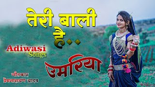 ओकी बाली रे उमरिया Bali Re Umariya Songs Durgesh verma 20 [upl. by Coulter]