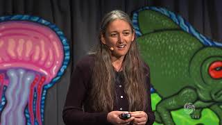 Monica Gagliano  Plant Intelligence and the Importance of Imagination In Science  Bioneers [upl. by Jeremie229]