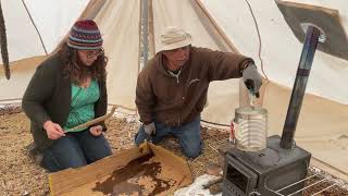 Mulling over Mullein Candles [upl. by Yelsehc]