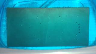 DIY Electroless copper plating [upl. by Rosette]