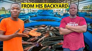 How a Nigerian Businessman Is Turning His Backyard To a Mega Fish Farm [upl. by Orlina]