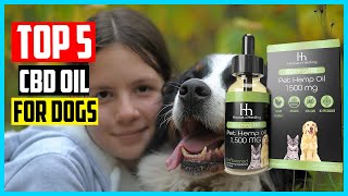 ✅Top 5 Best CBD Oil for Dogs Reviews in 2024 [upl. by Wini]