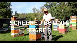 Varroa Sticky Boards [upl. by Toback]