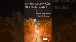 Halide Edip Adıvar Sinekli Bakkal Kitap Özeti [upl. by Kirst404]