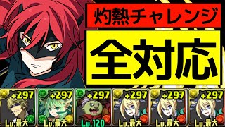 【全共通】簡易アンジェリーナPTで灼熱チャレンジ完全攻略！Lv1Lv2Lv4Lv3LvEXすべて安定！代用は概要欄【パズドラ】 [upl. by Nahtaj]