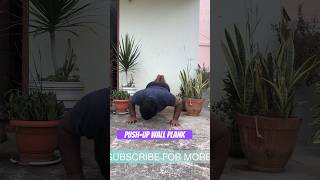 Pushup Wall Plank  pushupvariation pushup exercise [upl. by Pitarys]