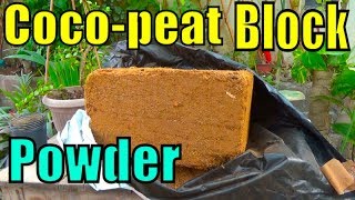 724 How to Coco peat Powder From Coco peat Blocks  Easy Way to Soak the Block Urduhindi [upl. by Luciano865]