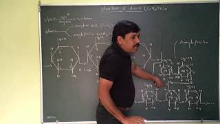 Structure Of Amylose and Amylopectin Starch [upl. by Sharlene]