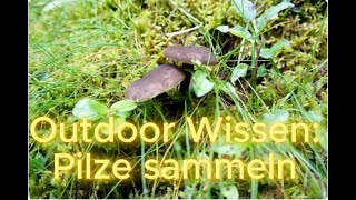 Outdoor Wissen Pilze sammeln mit Kindern🍄 [upl. by Ocker]