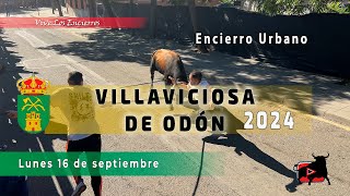 EMOCIONANTE ENCIERRO VILLAVICIOSA de ODÓN  16092024 [upl. by Ardeen]