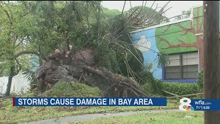 St Pete neighborhood dealing with aftermath of EF1 tornado [upl. by Gerg]