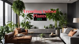 Top Houseplants Trends For 2024  Trending Indoor plant in 2024 [upl. by Lanza]