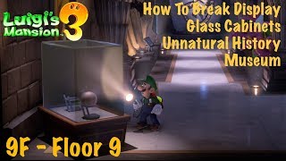 Luigis Mansion 3  How To Break Glass Display Cabinets  9F  Unnatural History Museum [upl. by Wagstaff]