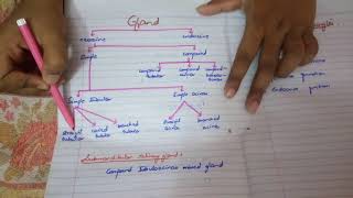 Shortest syllabus to PASS HISTOLOGY paper written pages by me MUST WATCH [upl. by Caruso]