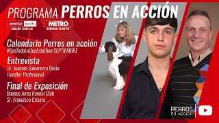 “Perros en acción” Programa Nº 485 [upl. by Annim]