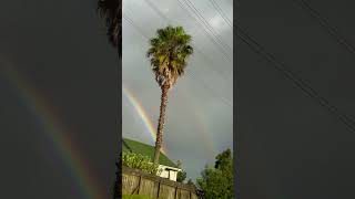 Twinned rainbow captured 🌈 newzealand shorts fyp beautifulcreation fypシ゚viral [upl. by Wisnicki406]