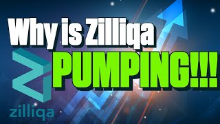 Why is Zilliqa Pumping [upl. by Sayers]