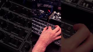 Adding some ARPs with the Behringer Pro800  chilloutmusic [upl. by Girvin]