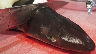 KOREAN STREET FOOD SHARK SASHIMI KOREA SEAFOOD MARKET 상어 회 포항 송도 활어회센터 201215 [upl. by Abas]