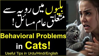 Cat behavioral problems  Cat behavior solutions  How to stop cat scratching furniture [upl. by Nikolas133]