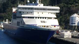 Interislander Kaitaki  Wellington to Picton 🛳 [upl. by Ronyar]