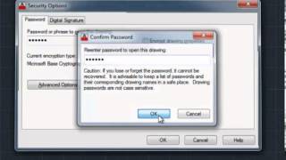 Protect AutoCAD File with Password [upl. by Dao]