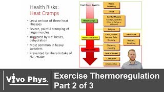 Exercise Thermoregulation Part 2 of 3  Exercise in the Heat [upl. by Yorker855]