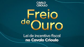 FREIO DE OURO  Lei de Incentivo Fiscal [upl. by Blanche]