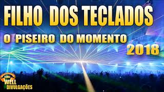 FILHO DOS TECLADOS 2018  O PISEIRO DO MOMENTO  CD COMPLETO [upl. by Richers]