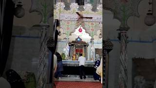 Ziyarat Imambada Agha Baqar shortvideo viralshort trandingshorts shortsfeed [upl. by Hermes645]