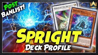 Spright POST BAN LIST Deck Profile  Combo Tutorial  January 2024  YuGiOh [upl. by Oniluap]