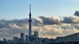 TOKYO VLOG 10 [upl. by Gilliam]