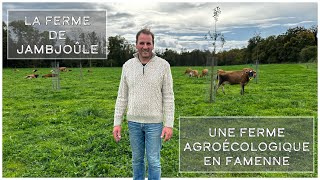 La Ferme de Jambjoûle une ferme agroécologique en Famenne [upl. by Cohe529]