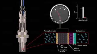 Discover DENSO Lambda Sensor technology [upl. by Nore24]