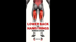 How to Roman Chair Back Extension Correctly Hamstring VS Lower Back Shorts [upl. by Kcaz]