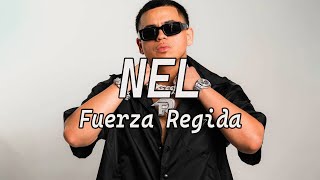 Fuerza Regida  NEL Video Oficial [upl. by Aztinaj429]