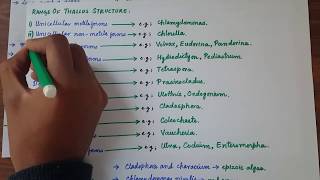 Plant Like Protists  Chlorophyta  Green Algae   Introduction amp Its General Characteristics [upl. by Lauree]