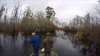 Against All Odds Outdoors Manchac Bass Fishing Tripturns into a Choupique trip [upl. by Ayotac859]