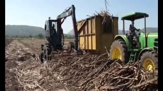 Matriarch ULTECO 5 Sugarcane Loader  Pongola South Africa [upl. by Aliekat]