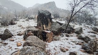 Building Primitive Shelter from start to finish with Fireplace outsideSurvival Winter Camping [upl. by Leynad152]