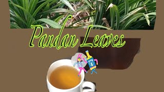 Pandan Leaves Benefits [upl. by Atiek]