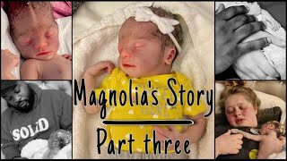 Magnolias Story  Unmedicated 33wk Stillbirth Story  Birth Center birth [upl. by Hokanson425]